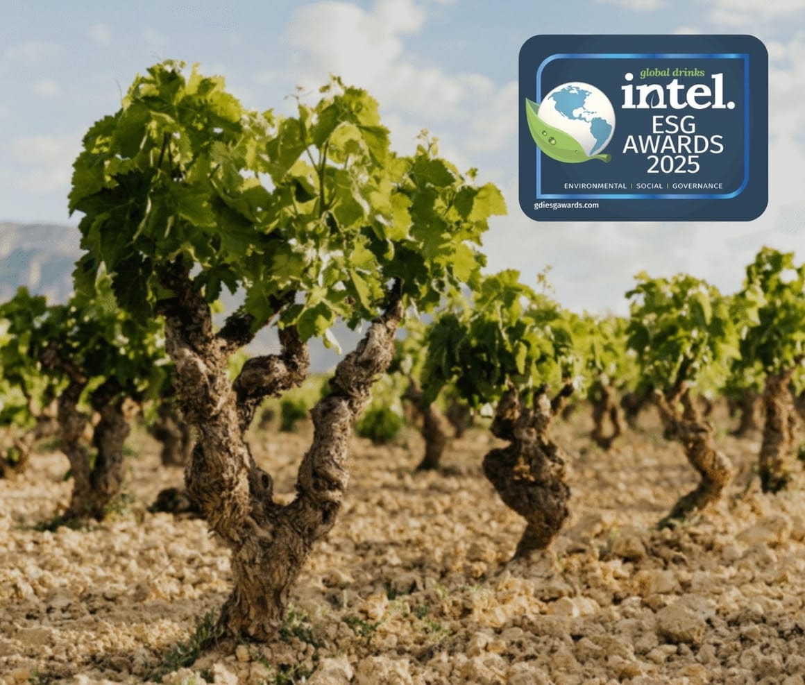 Viña Alberdi, premio al vino más sostenible del año en los Global Drinks Intel ESG Awards 2025 1 Viña Alberdi, premio al vino más sostenible del año en los Global Drinks Intel ESG Awards 2025 1