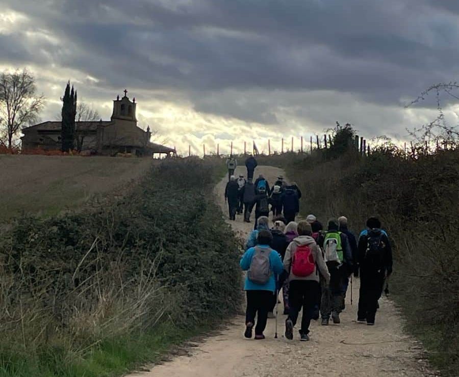Los Amigos del Camino de Santiago de Haro completan su cuarta salida del año con una marcha al Castillo de Davalillo 4 Los Amigos del Camino de Santiago de Haro completan su cuarta salida del año con una marcha al Castillo de Davalillo 4