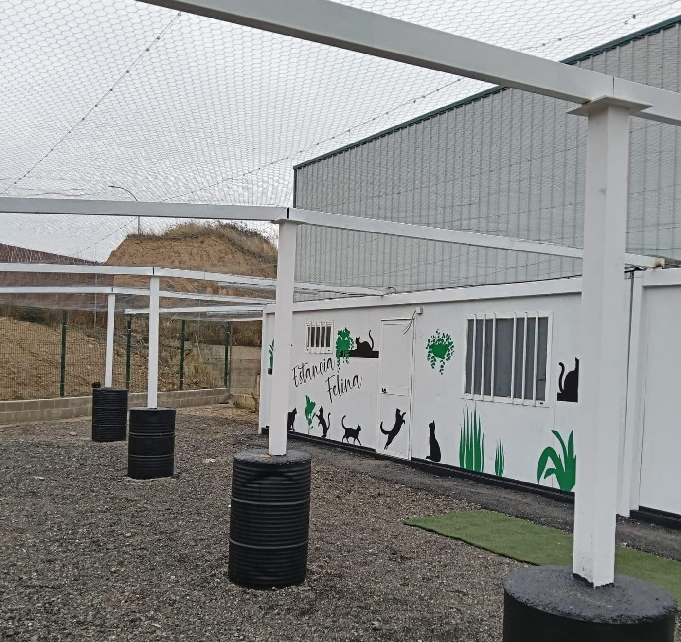 Haro espera que el nuevo centro de acogida de animales esté operativo a principios de 2026 1