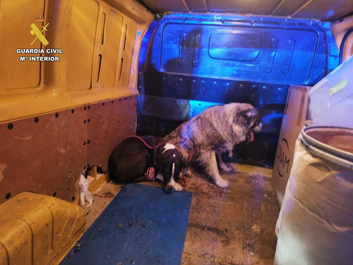 Rescatan a tres perros que cayeron a un barranco entre Torremontalbo y Cenicero 3