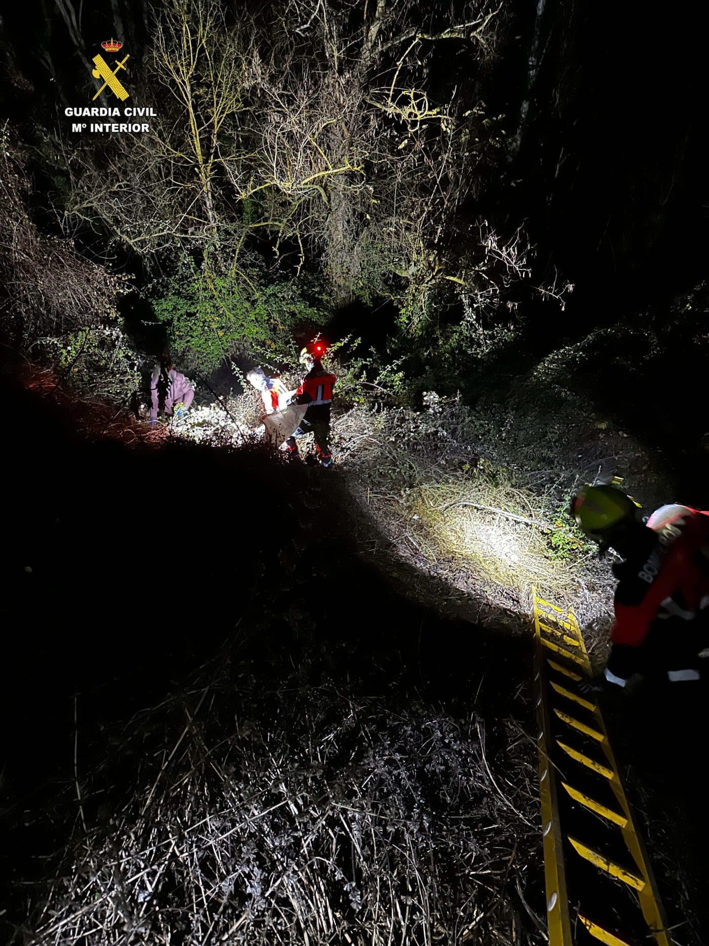 Rescatan a tres perros que cayeron a un barranco entre Torremontalbo y Cenicero 4