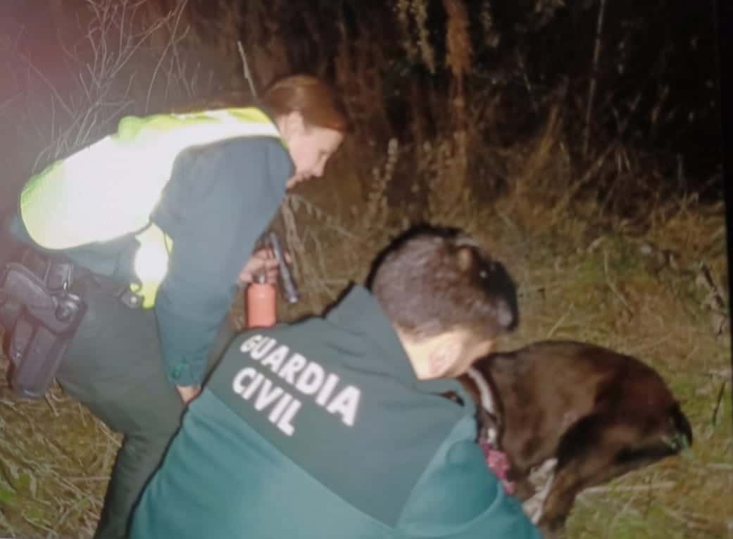 Rescatan a tres perros que cayeron a un barranco entre Torremontalbo y Cenicero 5