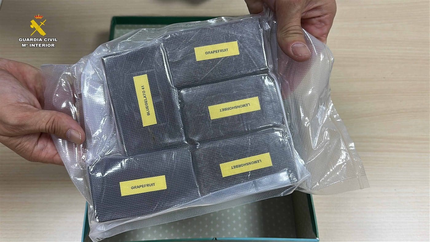 La Guardia Civil intercepta en Logroño un paquete postal con más de medio kilo de hachís 1