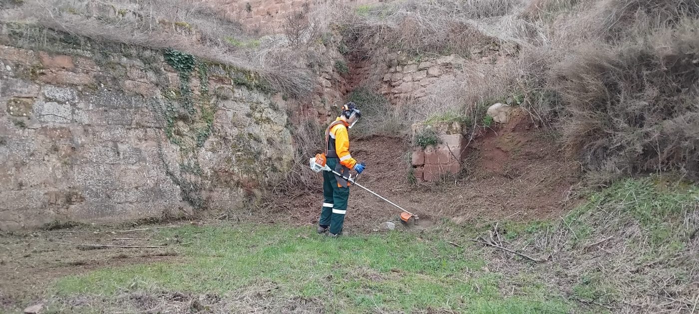 Alumnado del IES Villegas de Nájera realizan labores de limpieza en el alcázar 1