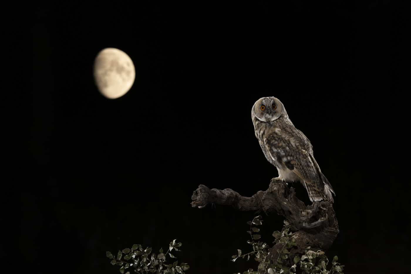 FOTOS: El Concurso Fotográfico Naturaleza de La Rioja reúne 1.120 imágenes de 195 autores en su XIX edición 7