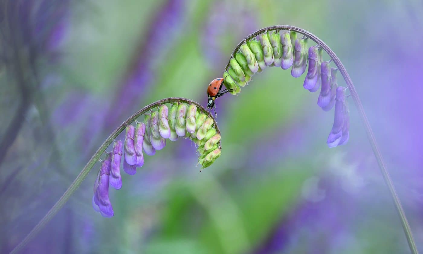 FOTOS: El Concurso Fotográfico Naturaleza de La Rioja reúne 1.120 imágenes de 195 autores en su XIX edición 3
