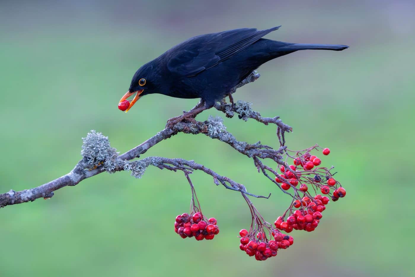 FOTOS: El Concurso Fotográfico Naturaleza de La Rioja reúne 1.120 imágenes de 195 autores en su XIX edición 2