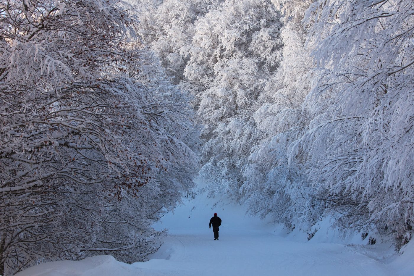 FOTOS: El Concurso Fotográfico Naturaleza de La Rioja reúne 1.120 imágenes de 195 autores en su XIX edición 6