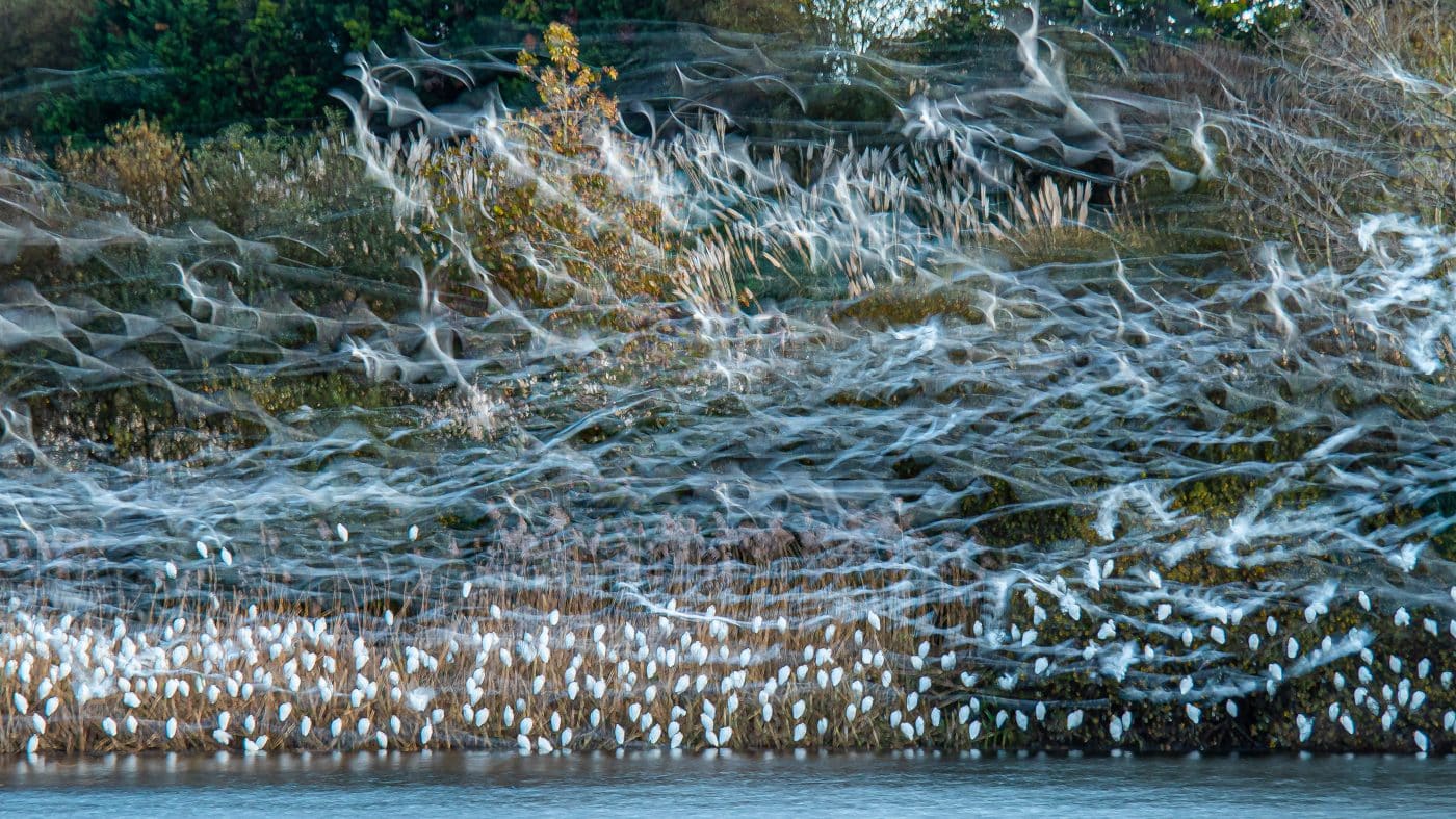FOTOS: El Concurso Fotográfico Naturaleza de La Rioja reúne 1.120 imágenes de 195 autores en su XIX edición 4