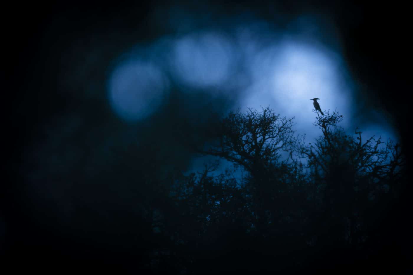 FOTOS: El Concurso Fotográfico Naturaleza de La Rioja reúne 1.120 imágenes de 195 autores en su XIX edición 5