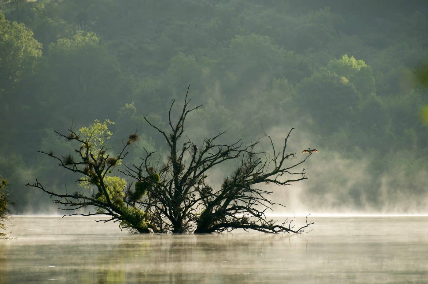 FOTOS: El Concurso Fotográfico Naturaleza de La Rioja reúne 1.120 imágenes de 195 autores en su XIX edición 1