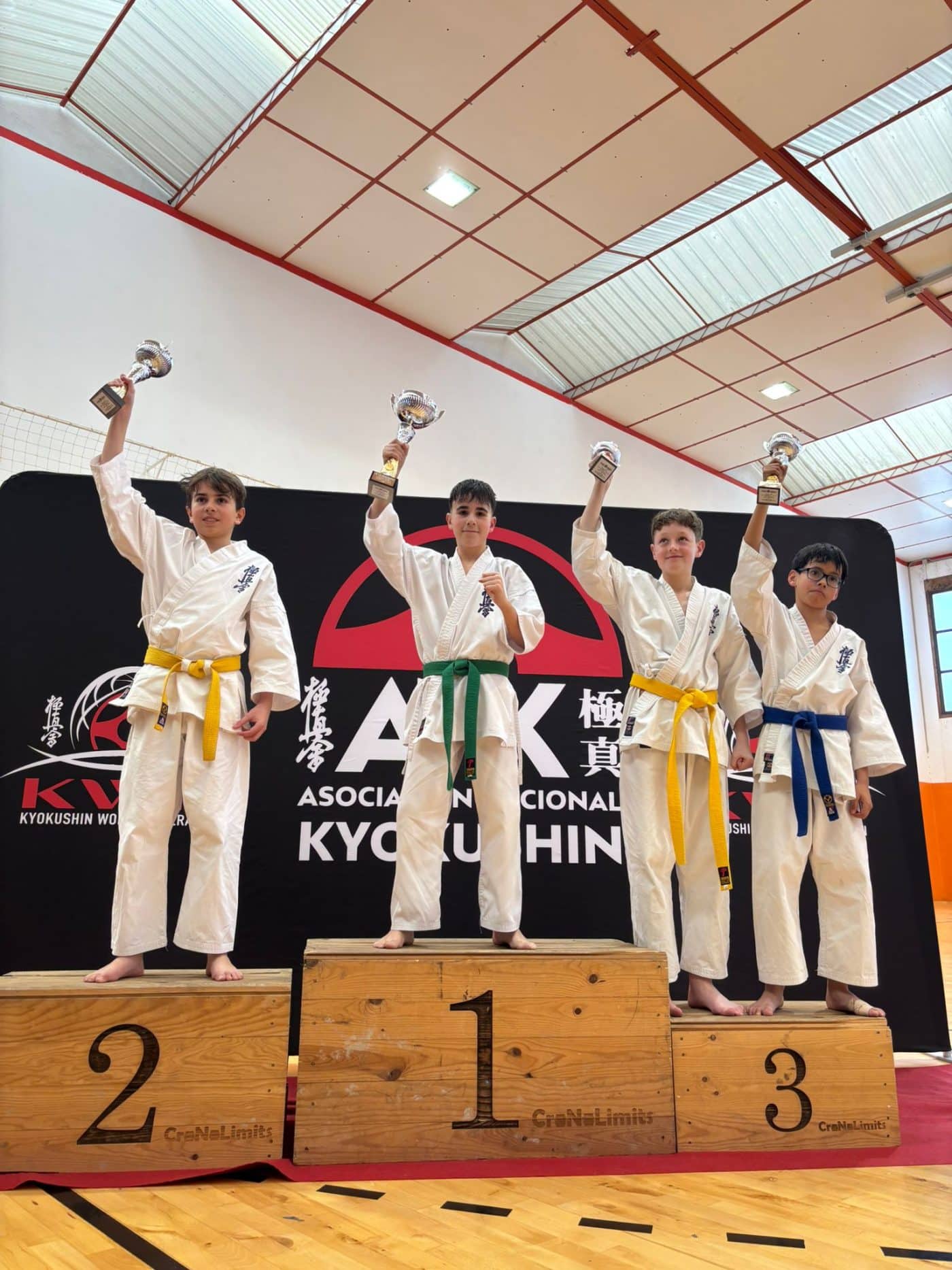 El Kyoku Haro brilla en el Campeonato Interautonómico de ANK con una destacada cosecha de medallas 15 El Kyoku Haro brilla en el Campeonato Interautonómico de ANK con una destacada cosecha de medallas 15