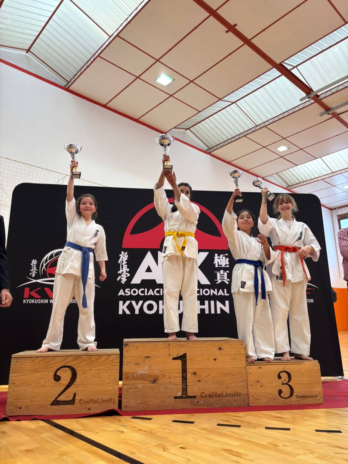 El Kyoku Haro brilla en el Campeonato Interautonómico de ANK con una destacada cosecha de medallas 6 El Kyoku Haro brilla en el Campeonato Interautonómico de ANK con una destacada cosecha de medallas 6