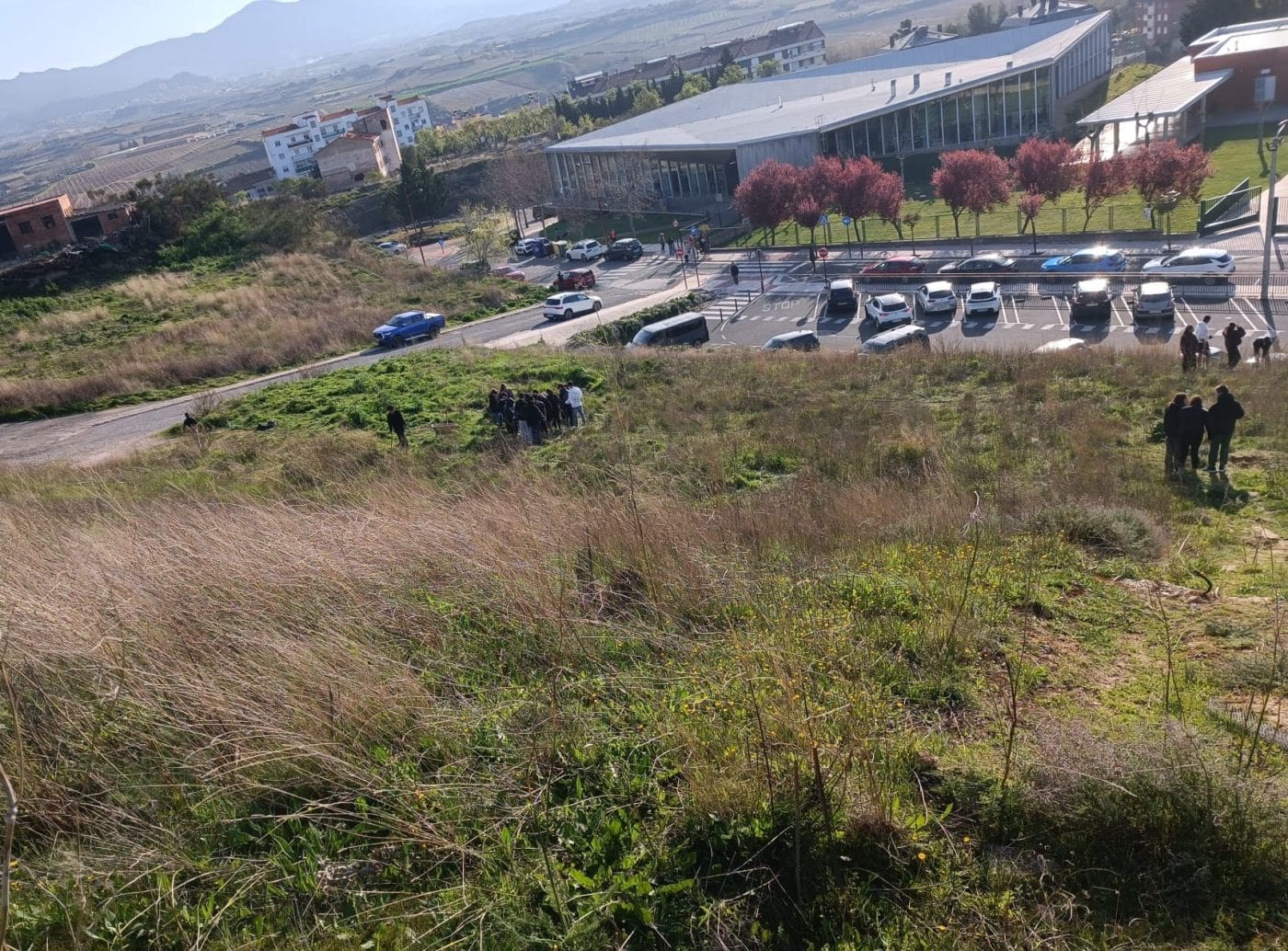 Haro planta futuro: 150 nuevos árboles gracias al alumnado local 1
