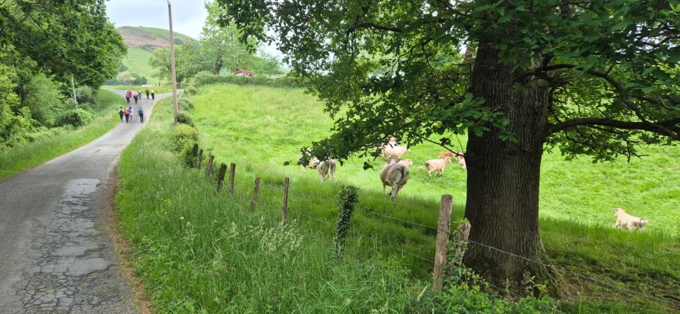 Amigos del Camino de Santiago de Haro-Rioja Alta recorren el histórico Camino de Baztán 4