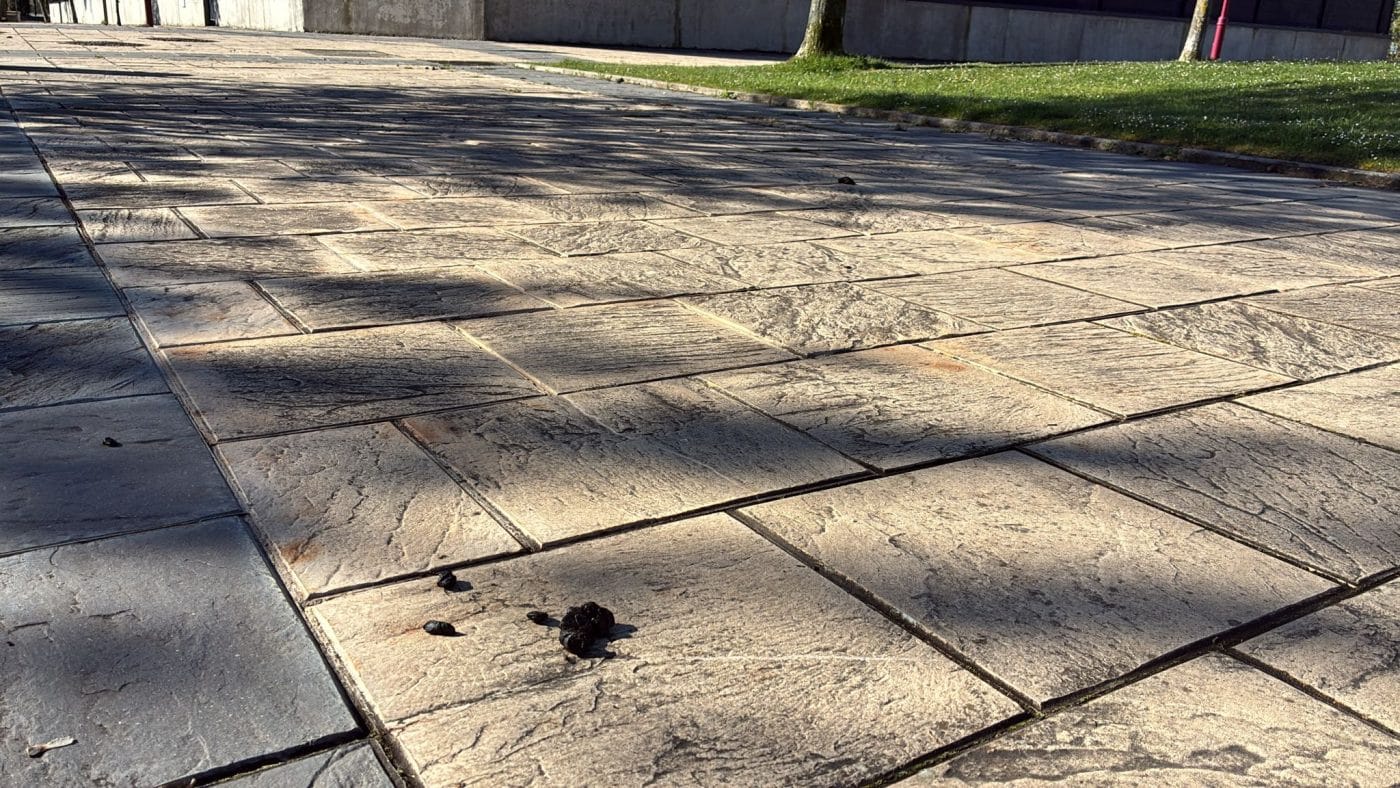 BUZÓN CIUDADANO: Decenas de heces de oveja en la calle Rosalía de Castro en Haro 4