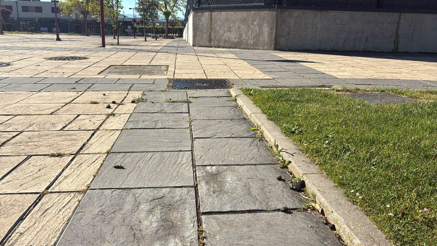 BUZÓN CIUDADANO: Decenas de heces de oveja en la calle Rosalía de Castro en Haro 2