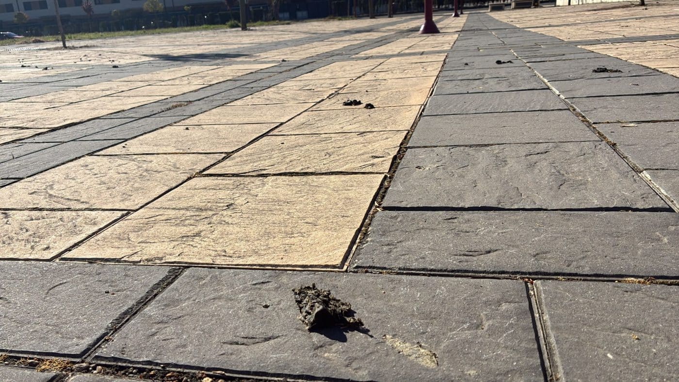 BUZÓN CIUDADANO: Decenas de heces de oveja en la calle Rosalía de Castro en Haro 1