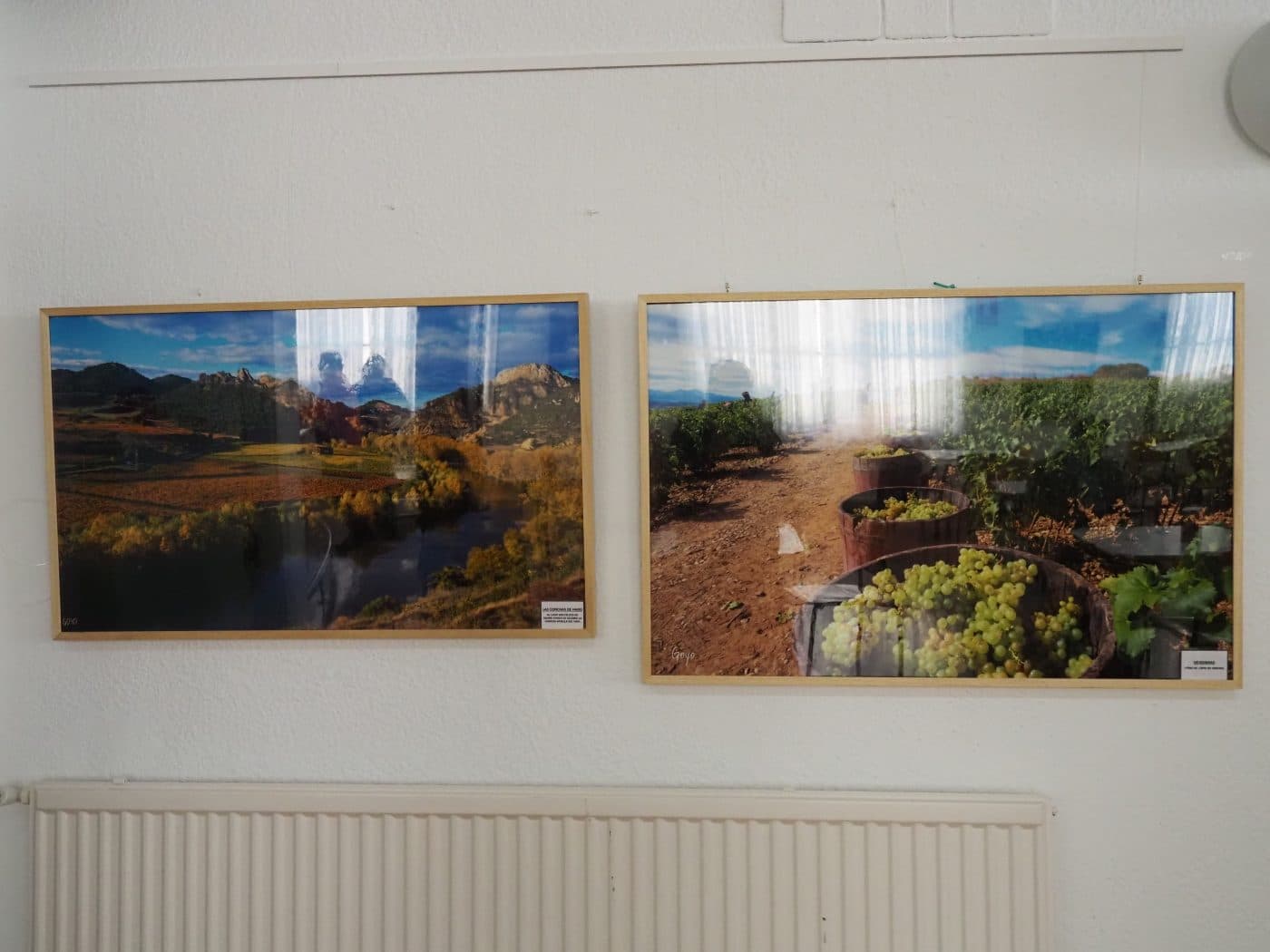 “Lo más bonito de Haro” en 12 fotografías de Goyo Martínez en el centro de día 1