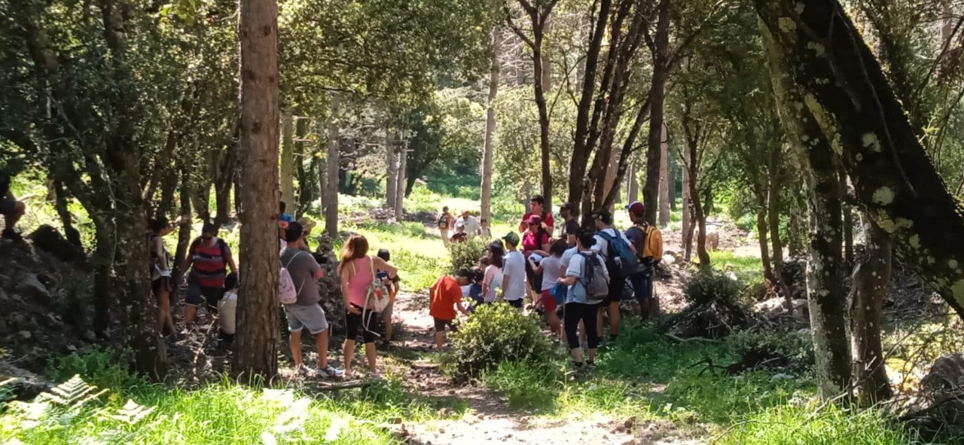 Casi 400 personas participan en la chiqui-ruta 'La Rosa de los vientos' entre Ábalos y Peña la Rosa 12