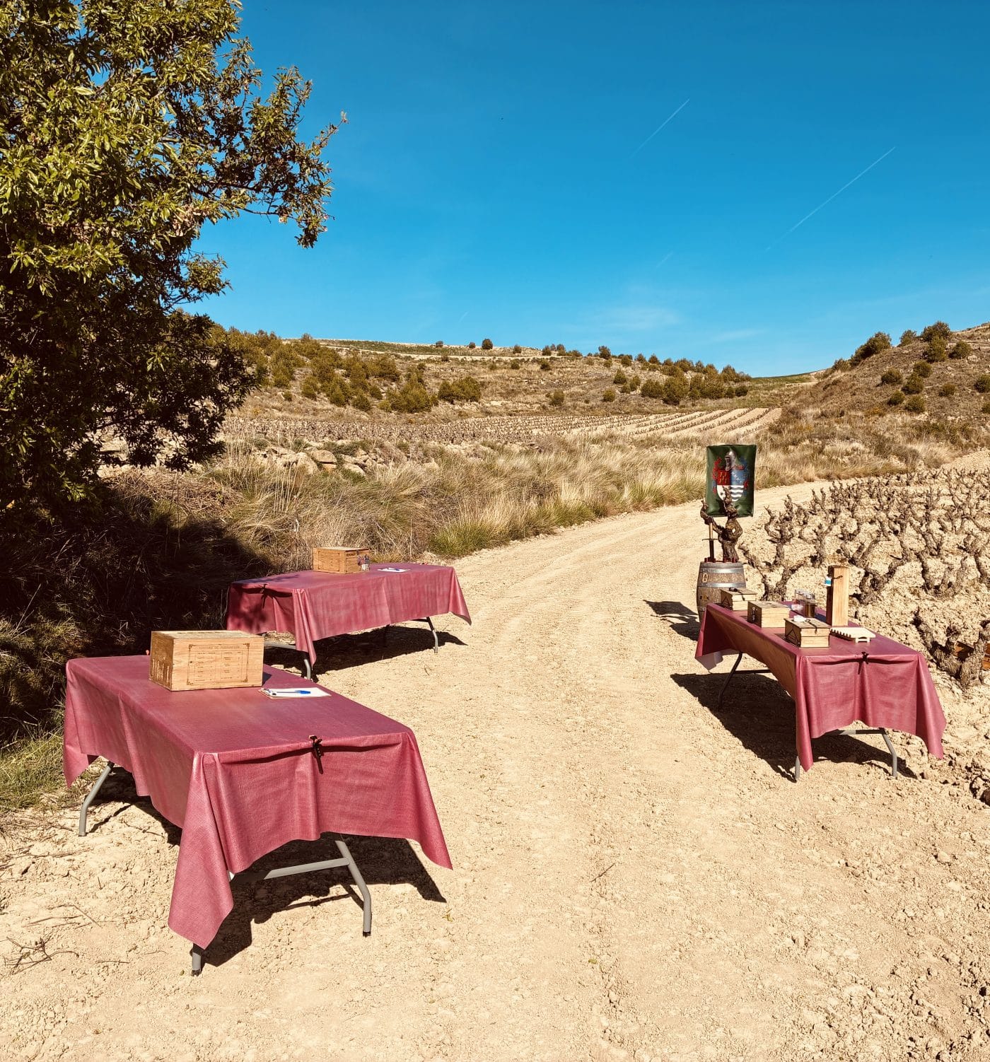 Escape Rioja y Mostea se unen para brindar una experiencia 'muy a la riojana' en torno al juego 'Alquimium' 2
