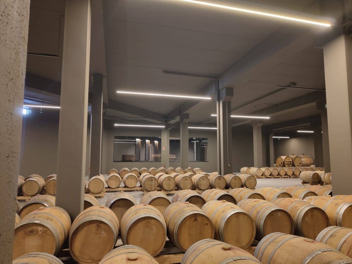 Gómez Cruzado culmina la ampliación de sus instalaciones en Haro con una inversión de más de 4,5 millones de euros 8