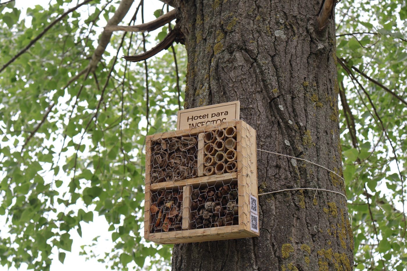 Haro estrena una red de hoteles de insectos para luchar contra el cambio climático 8