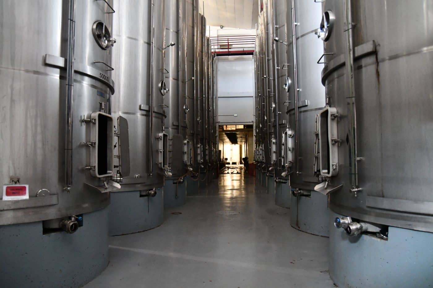 La Cooperativa Virgen de la Vega presenta su renovada imagen y sus nuevas añadas ante hosteleros y distribuidores 10