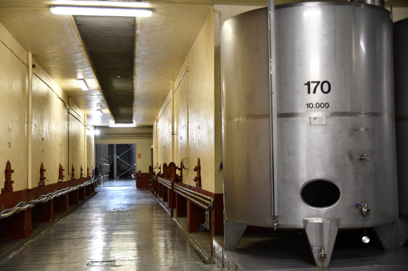 La Cooperativa Virgen de la Vega presenta su renovada imagen y sus nuevas añadas ante hosteleros y distribuidores 17