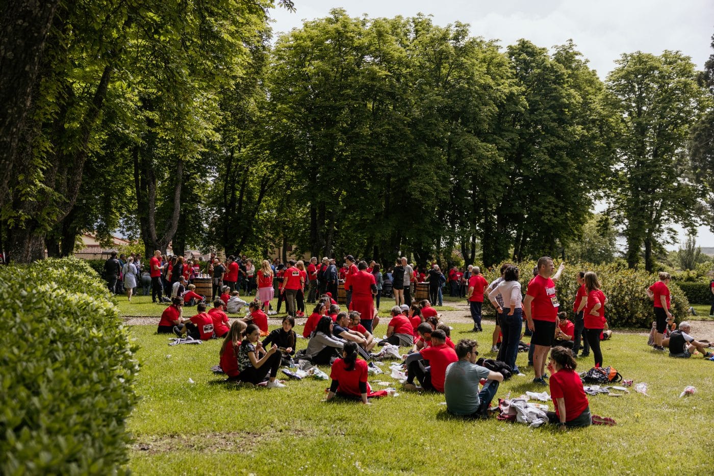 La III Carrera Solidaria Viña Pomal bate récord en Haro: más de 700 participantes y 3.000 euros recaudados para FARO 3 La III Carrera Solidaria Viña Pomal bate récord en Haro: más de 700 participantes y 3.000 euros recaudados para FARO 3