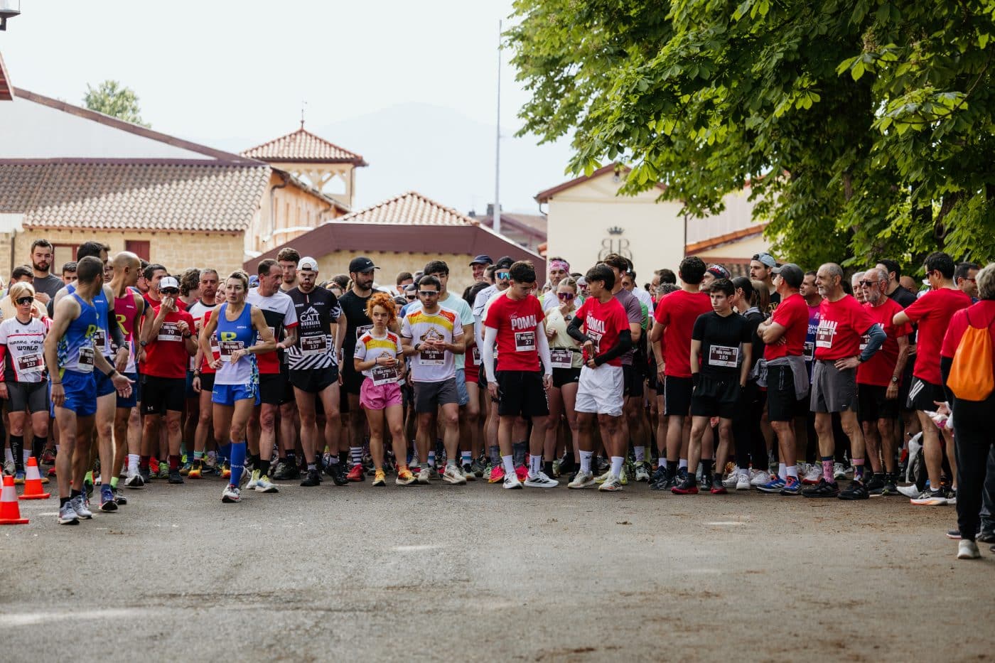 La III Carrera Solidaria Viña Pomal bate récord en Haro: más de 700 participantes y 3.000 euros recaudados para FARO 15 La III Carrera Solidaria Viña Pomal bate récord en Haro: más de 700 participantes y 3.000 euros recaudados para FARO 15