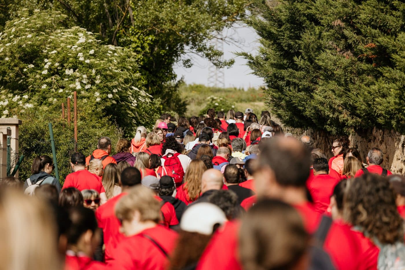 La III Carrera Solidaria Viña Pomal bate récord en Haro: más de 700 participantes y 3.000 euros recaudados para FARO 17 La III Carrera Solidaria Viña Pomal bate récord en Haro: más de 700 participantes y 3.000 euros recaudados para FARO 17