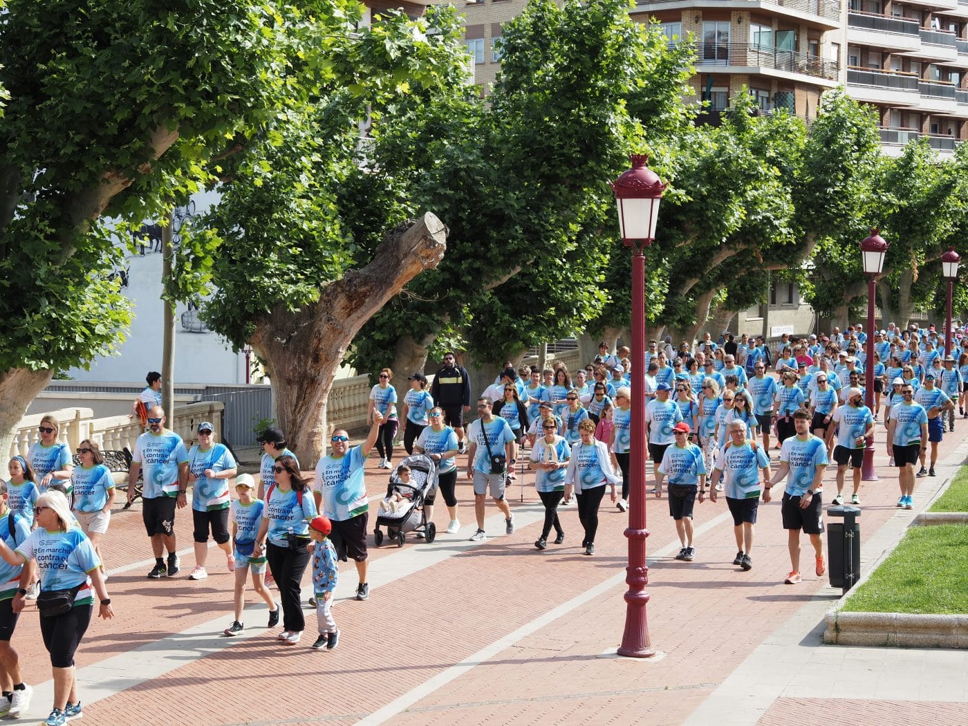 La III Marcha contra el Cáncer Haro-Anguciana bate récords con 1.550 participantes 5 La III Marcha contra el Cáncer Haro-Anguciana bate récords con 1.550 participantes 5