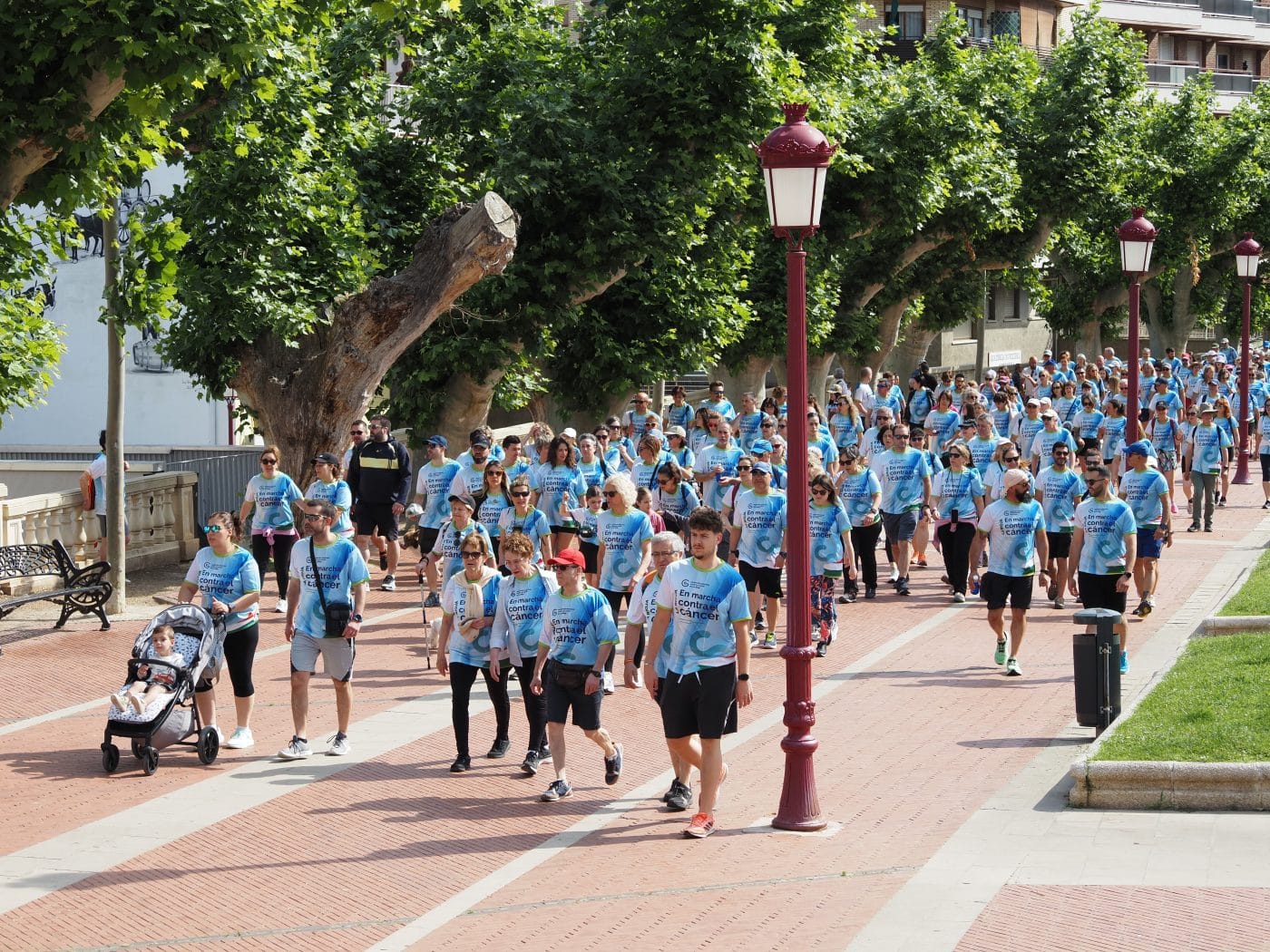La III Marcha contra el Cáncer Haro-Anguciana bate récords con 1.550 participantes 20 La III Marcha contra el Cáncer Haro-Anguciana bate récords con 1.550 participantes 20