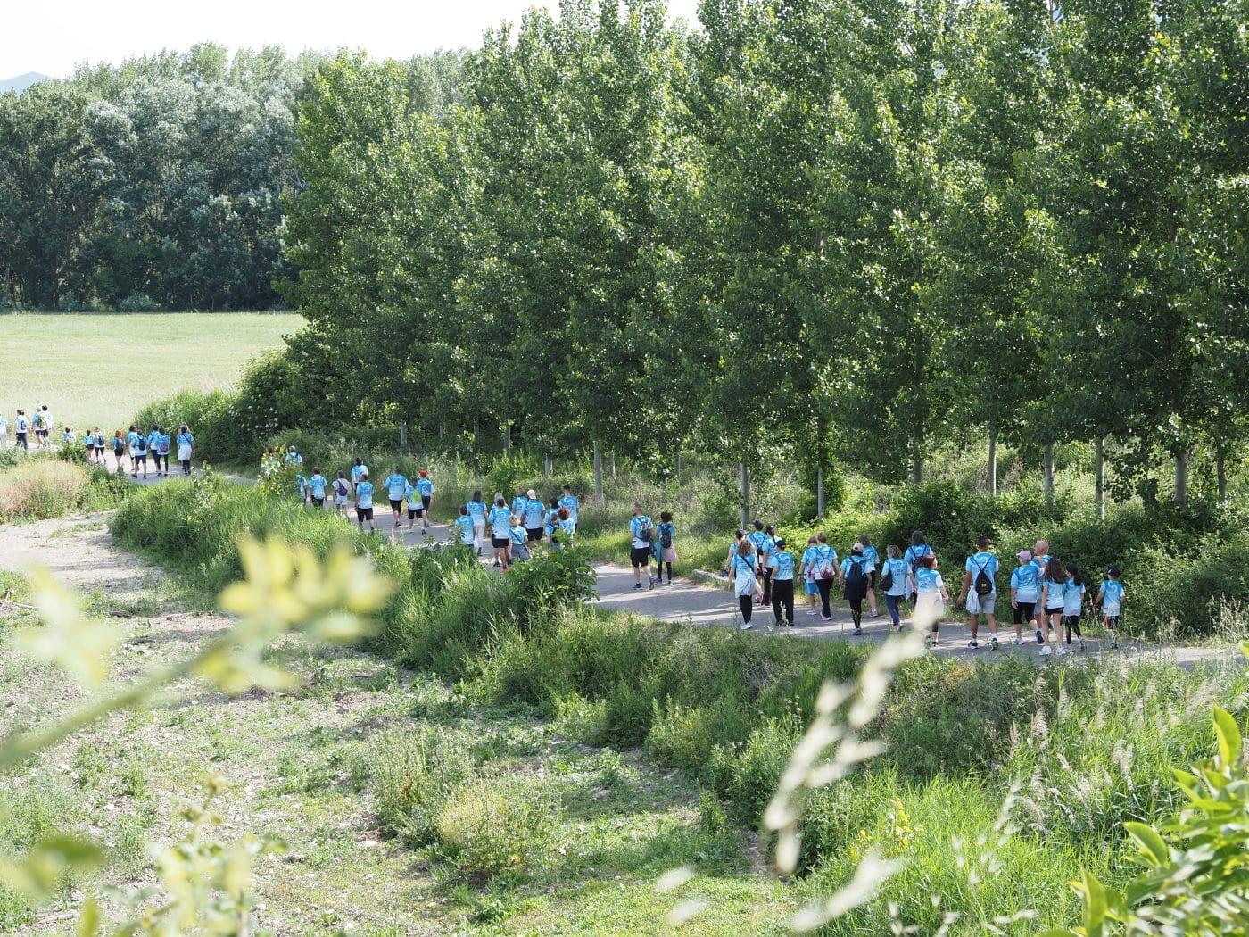 La III Marcha contra el Cáncer Haro-Anguciana bate récords con 1.550 participantes 23 La III Marcha contra el Cáncer Haro-Anguciana bate récords con 1.550 participantes 23