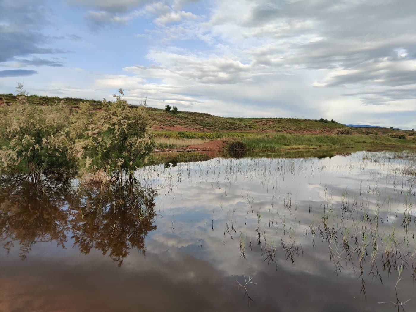 ‘Pasea La Rioja’ propone rutas y actividades para descubrir la biodiversidad de la región este fin de semana 1