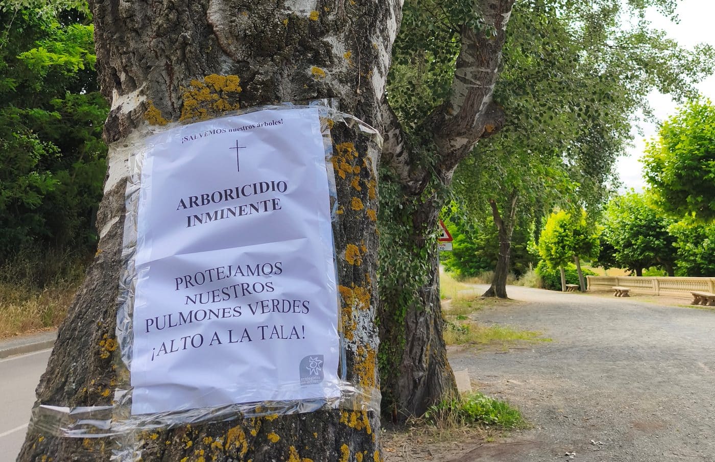 Ecologistas en Acción de Haro exige "transparencia" sobre la tala de cinco árboles en el "mal llamado eje verde" en Bretón de los Herreros 2