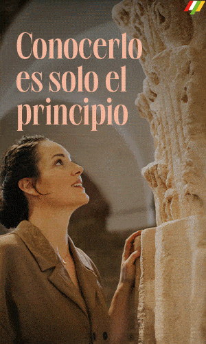 Banner Patrimonio