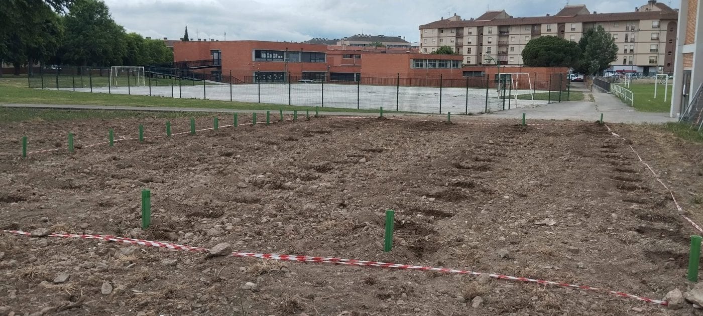 Estudiantes del Cossío plantan un viñedo en el centro 2 Estudiantes del Cossío plantan un viñedo en el centro 2