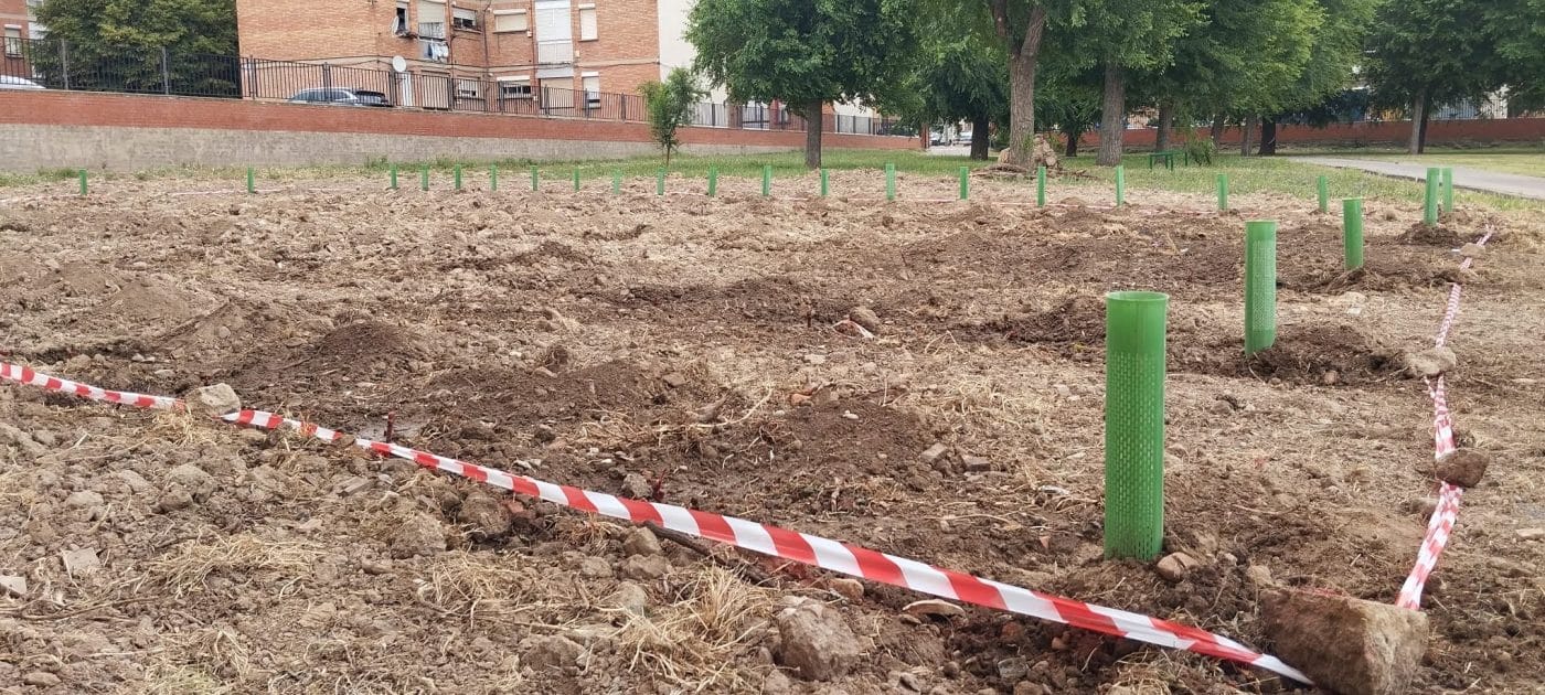 Estudiantes del Cossío plantan un viñedo en el centro 1 Estudiantes del Cossío plantan un viñedo en el centro 1