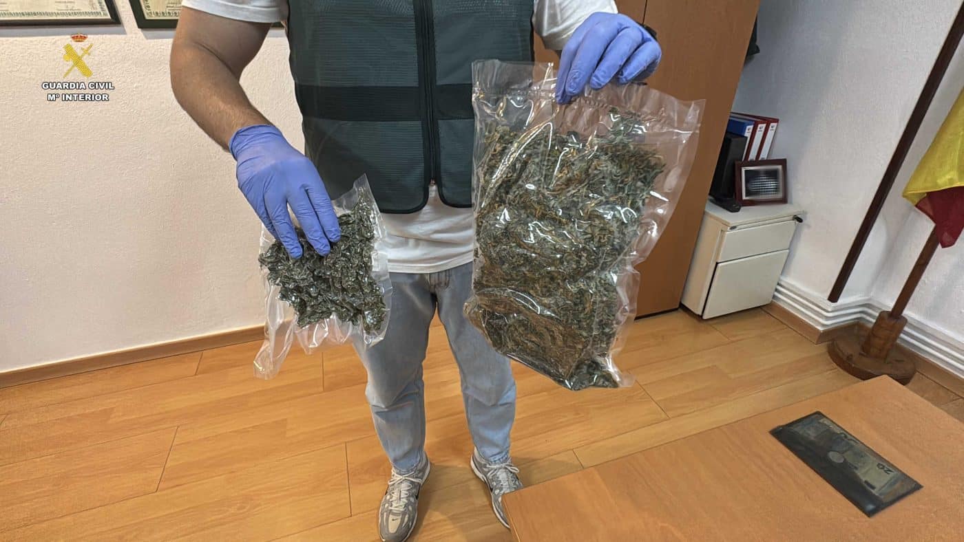 Desmantelado en Cenicero un punto de venta de droga con un cultivo 'indoor' de 60 plantas de marihuana 2 Desmantelado en Cenicero un punto de venta de droga con un cultivo 'indoor' de 60 plantas de marihuana 2