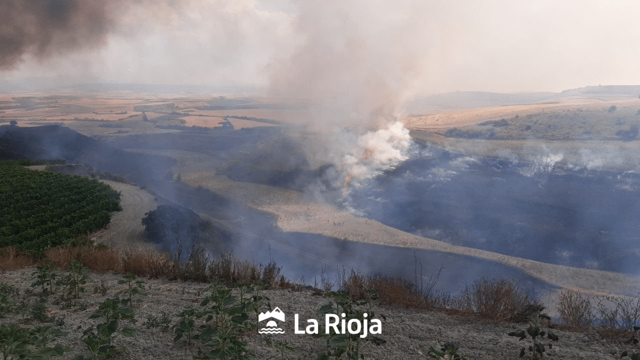 Activos medios terrestres y aéreos para sofocar un incendio agrario en Treviana 3 Activos medios terrestres y aéreos para sofocar un incendio agrario en Treviana 3