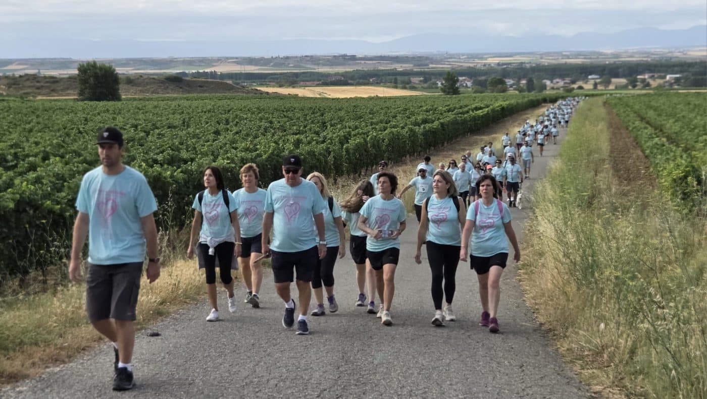 Casi 500 personas participan en la X Marcha Saludable Entre Viñedos de Cihuri 6
