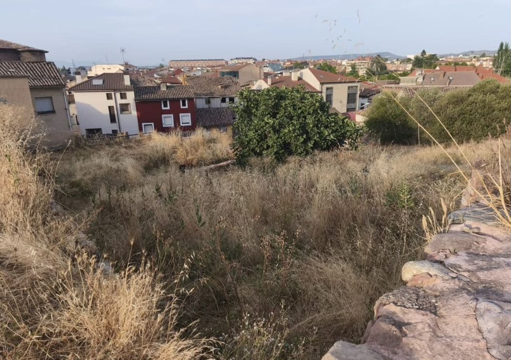 El PSOE de Nájera propone aumentar la inversión municipal para combatir el "abandono" de la ciudad 4