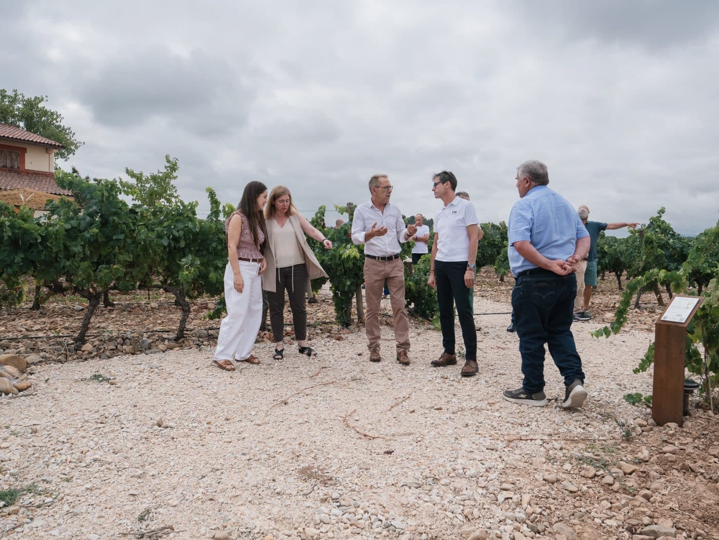 El viñedo experimental de Heredad Martínez Castillo busca ampliar el futuro vitivinícola de La Rioja 7