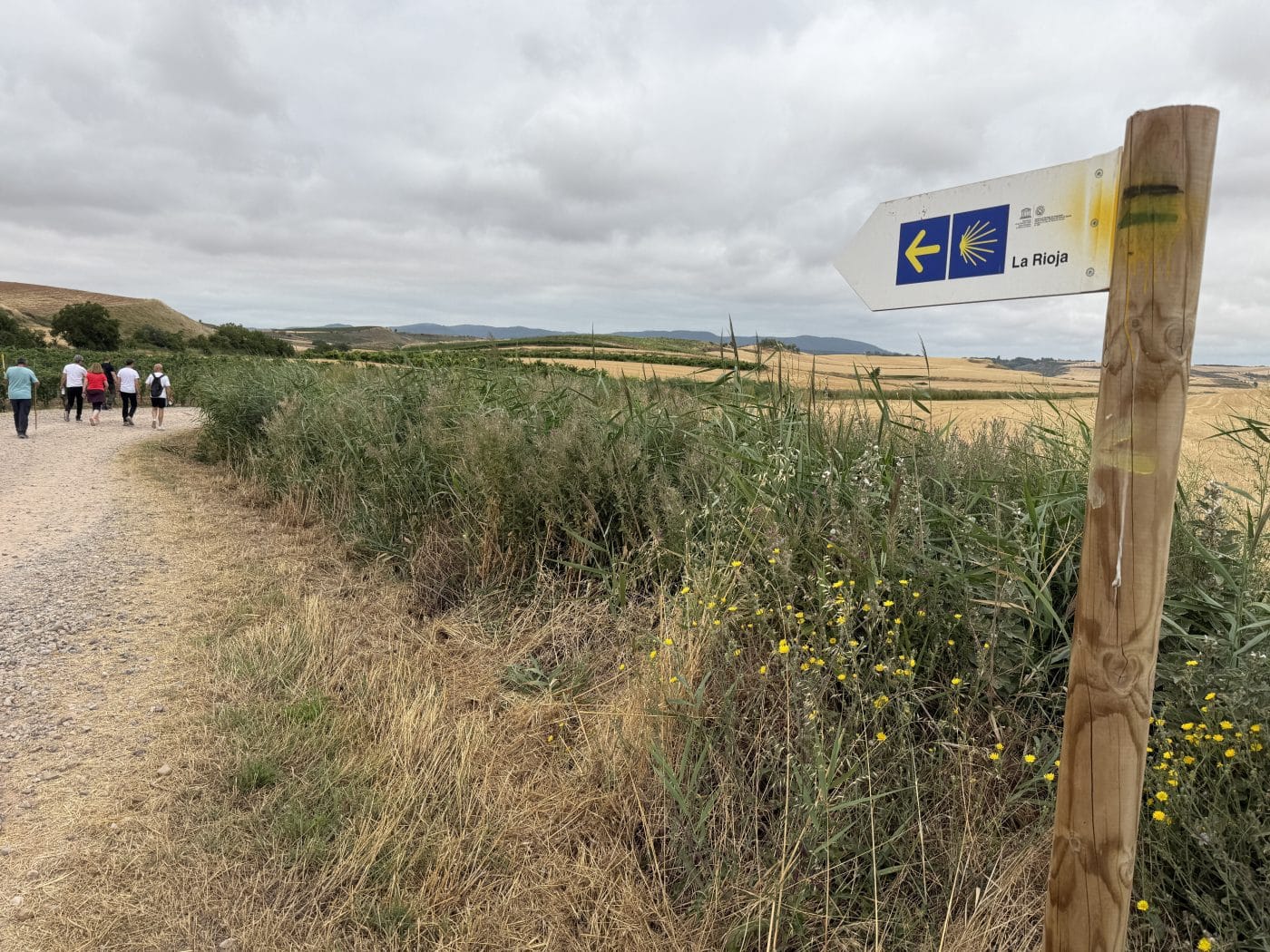 La Rioja pone al día el Camino de Santiago Francés con una inversión superior a 1,2 millones de euros 10 La Rioja pone al día el Camino de Santiago Francés con una inversión superior a 1,2 millones de euros 10