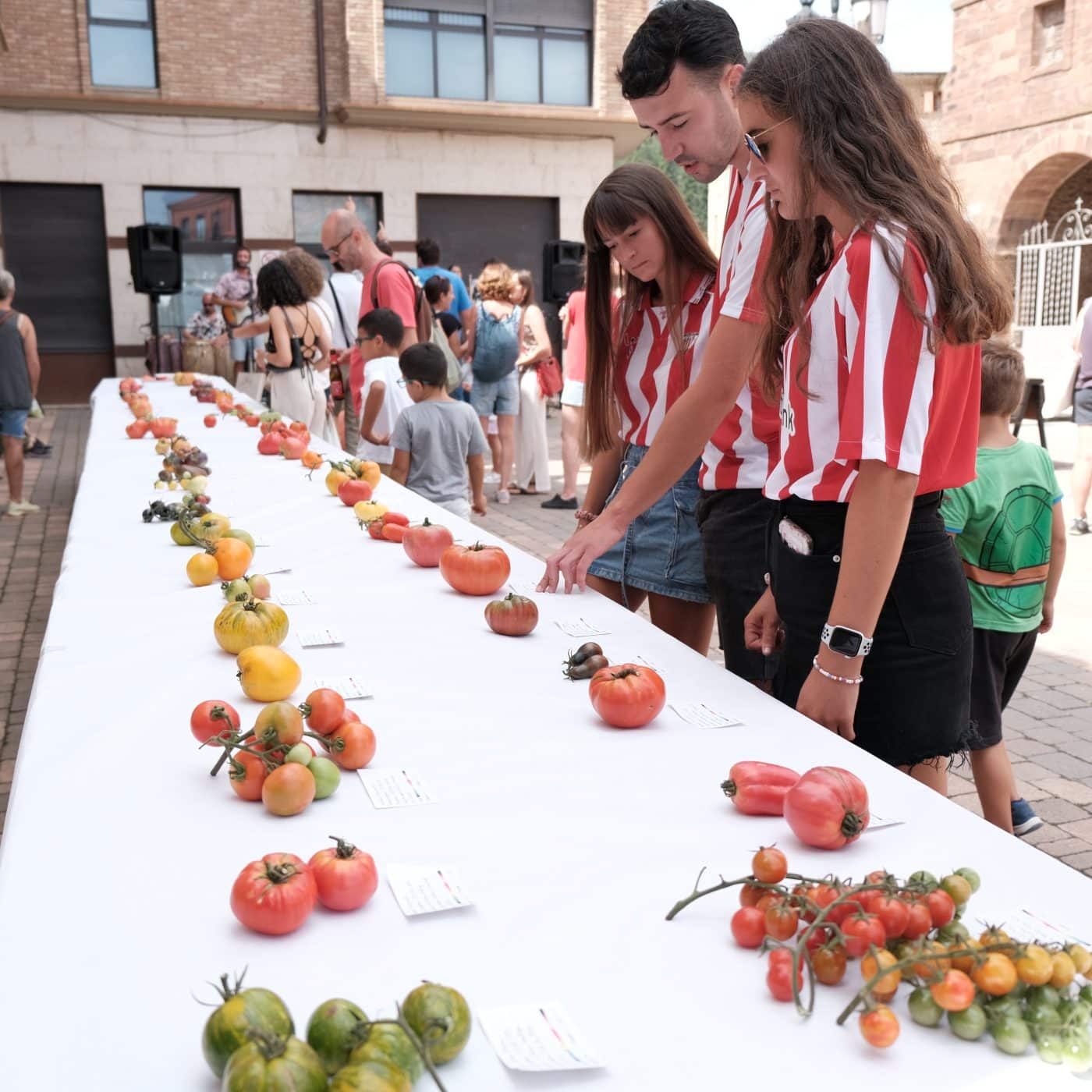 Santurde de Rioja celebra este sábado la tercera edición de su Festival del Tomate 1 Santurde de Rioja celebra este sábado la tercera edición de su Festival del Tomate 1