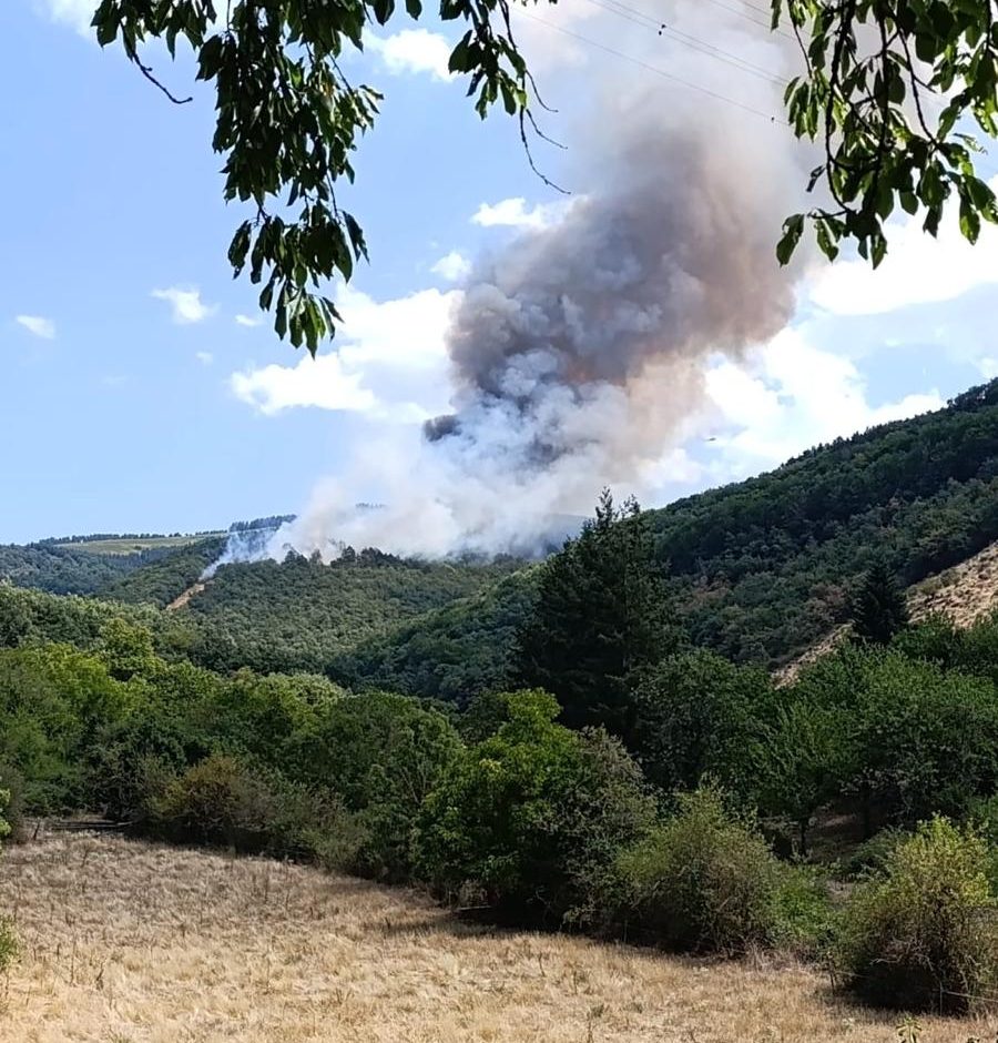 El incendio forestal de Ojacastro queda estabilizado tras afectar provisionalmente a más de 11 hectáreas 1