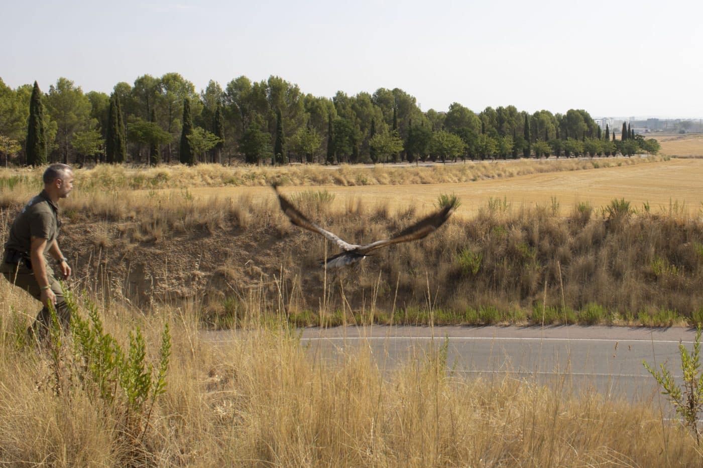 De vuelta a la naturaleza: 44 aves son liberadas en La Grajera gracias al programa 'Ayúdale a volar' 1