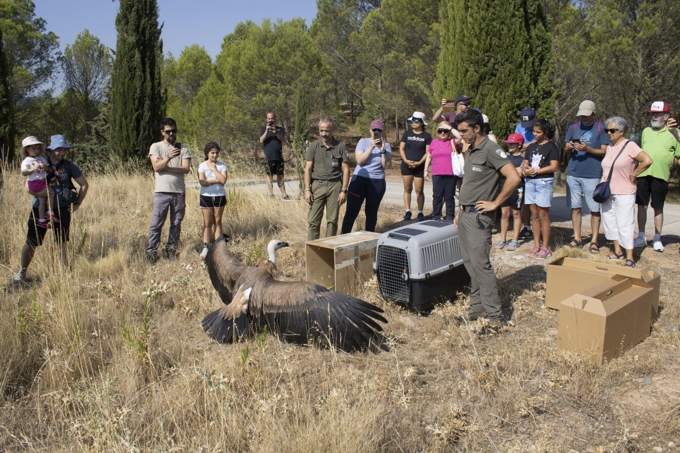 De vuelta a la naturaleza: 44 aves son liberadas en La Grajera gracias al programa 'Ayúdale a volar' 2